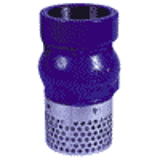 102 - Guided  Foot check valve with cast iron epoxy coated body with galvanised steel stainer - 02 system - female